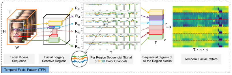 Fig. 2 — TFP generation from facial video