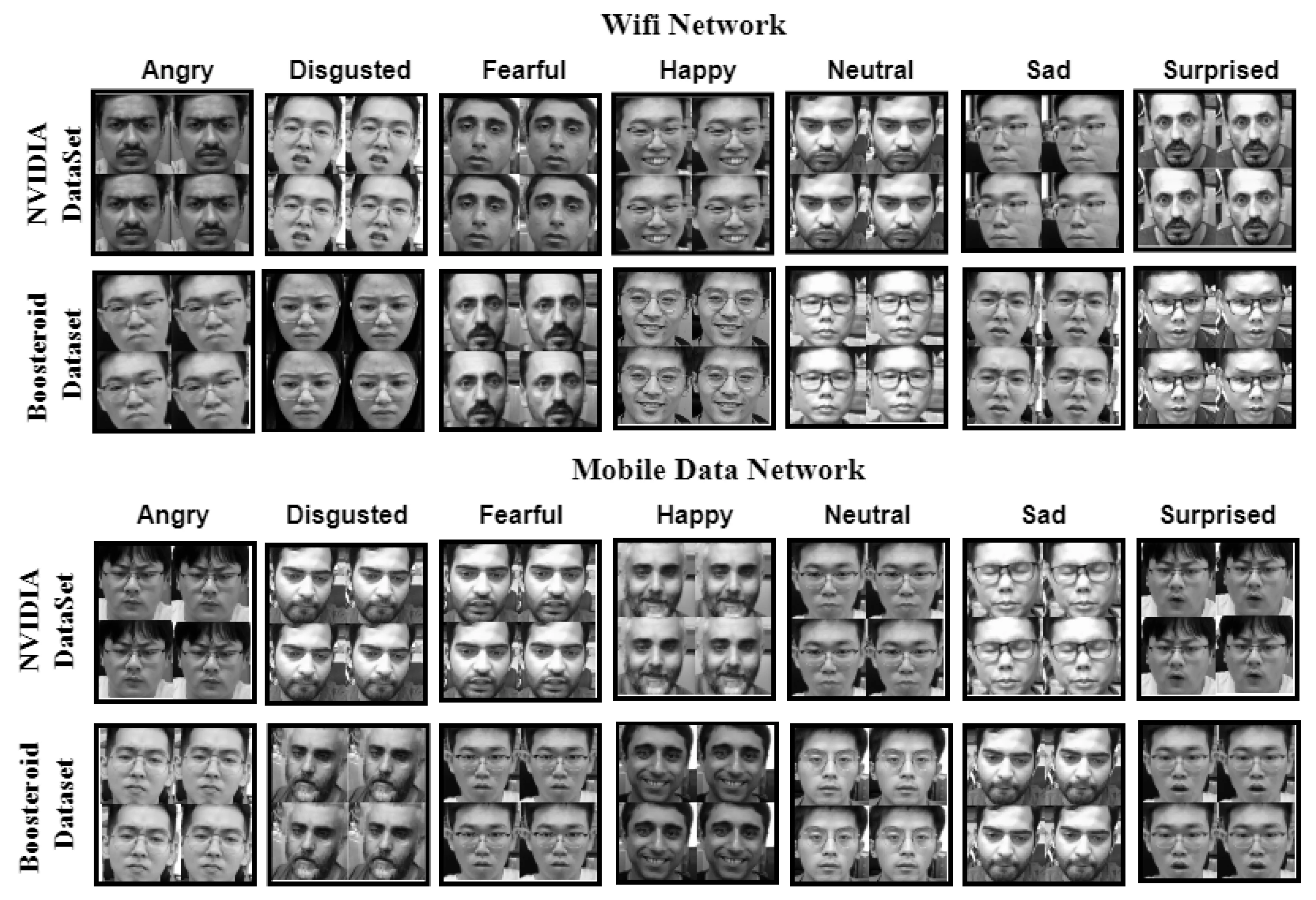 Fig. 2 — Custom facial emotion dataset overview